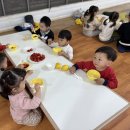 단아농장 이미지