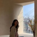 이요원 카카오 검색결과