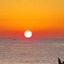 상운중학교 이미지