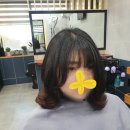 대교남성컷트 이미지