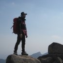 여우굴 이미지