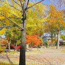 킹스사우나불가마 이미지