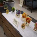 대덕구치매안심센터 이미지