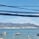 진해바다뷰카페 슬로우웨이브 주차장있는 진해군항제카페 후기