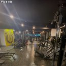 모슬피아짐 네이버블로그