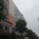 임방울대로 이미지