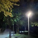 레포레스트(REFOREST) 이미지