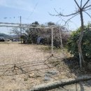 숭덕초등학교 병설유치원 이미지