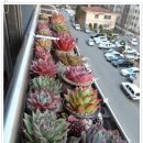 흙사랑 이미지