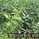 두가시 농장 이미지