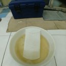 왁스나라버블세차 이미지