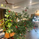 대유가든 이미지