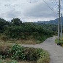 김산고을작은도서관 이미지