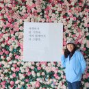 에이뉴 이미지