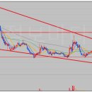 엠에스메드 이미지