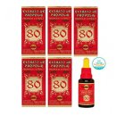 그린폴리 이미지