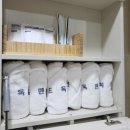 골드독 펜션 이미지