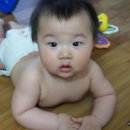 무봤나촌닭 이미지