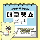 젤리즈펫 이미지