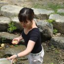 파평농원 이미지