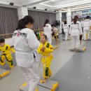 숨 익스트림 태권도장 이미지