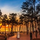 아일랜드 이미지