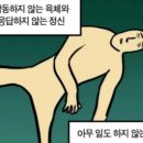피츠로이(Fitzroy)