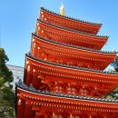 함께 떠나는 일본어 여행 이미지