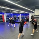 엘리트복싱체육관 이미지