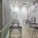 쿨펫애견미용전문학원