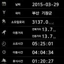 황금어장 이미지