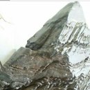 의리농장 이미지