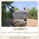 광교산 쉽게 정상 쉽게 가는 방법 (등린이도 성공)