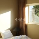 P-5319 | [밀라빌라] millavilla 커튼/대구커튼/대구밀라빌라 퓨어 린넨 커튼