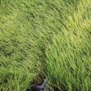 삼덕농장 이미지