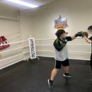 맨투맨프리미엄복싱 이미지