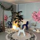 빅파인트리하우스 이미지