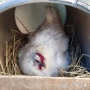 자가농장 이미지