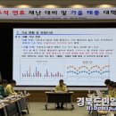대비지 이미지