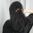 아르간오일추천 헤어에센스 ;블라세아 아르간오일