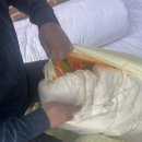 수영이불집