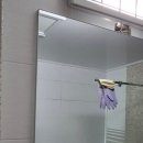 원미구 역곡로14번길 18 | 부천 역곡동 덕현아파트 욕실거울, 깨진 변기물통뚜껑 보수