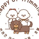 트리멍 이미지