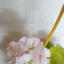 러브헤나 이미지