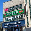 그랜드 애견 미용 이미지