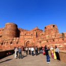 사진을 찍다 이미지