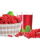 거창오미자영농조합법인 이미지