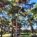 은혜찬방 | <보은>충북 아이와 가볼만한곳 보은 드라이브 코스 여행지-우당고택