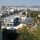 호계3동행정복지센터 네이버블로그