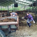 이경규농장 이미지